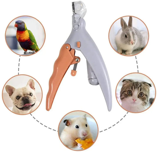 PawGlow Pro™