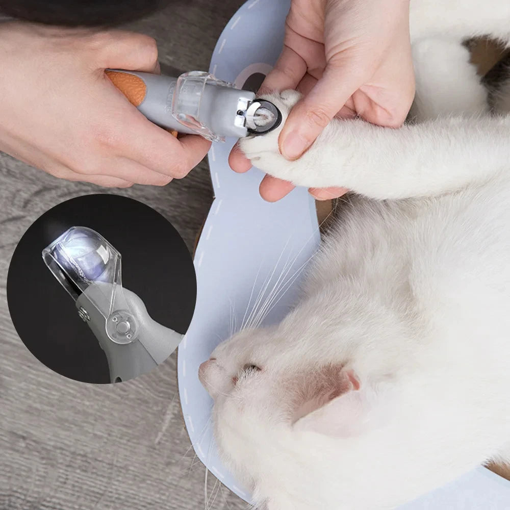 PawGlow Pro™