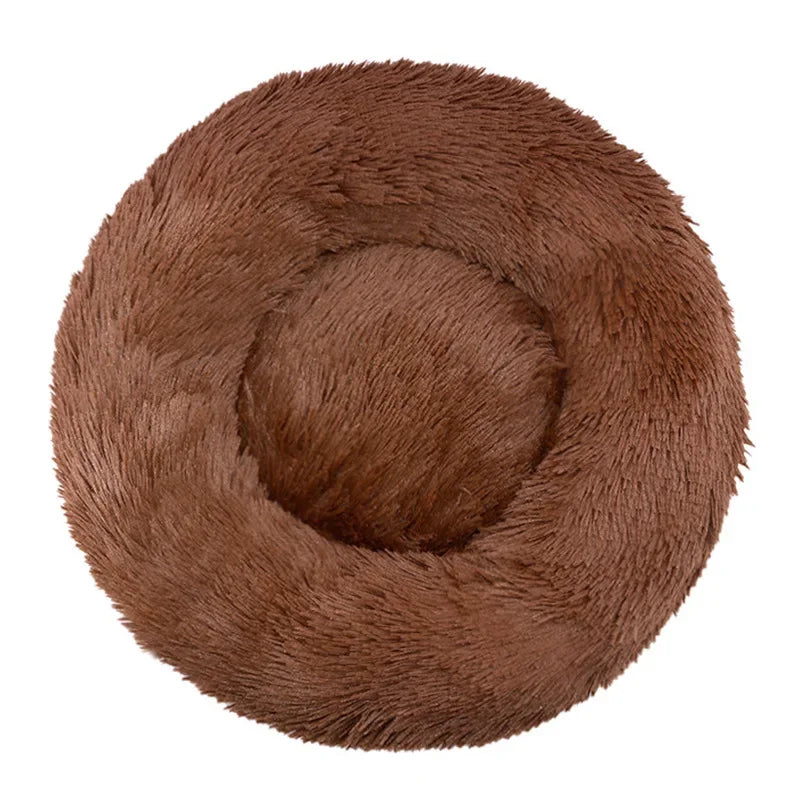 PawNest™