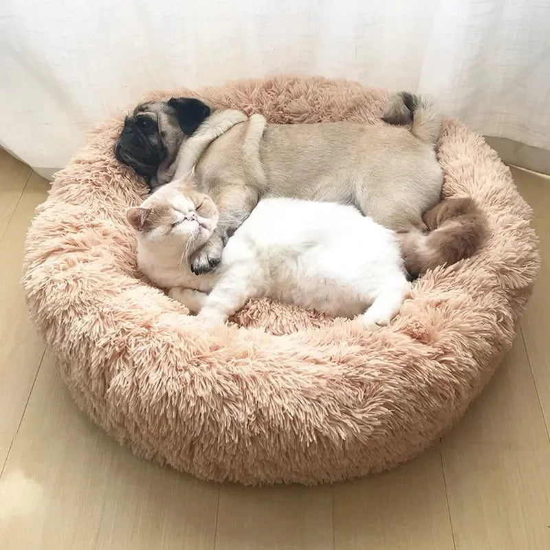 PawNest™