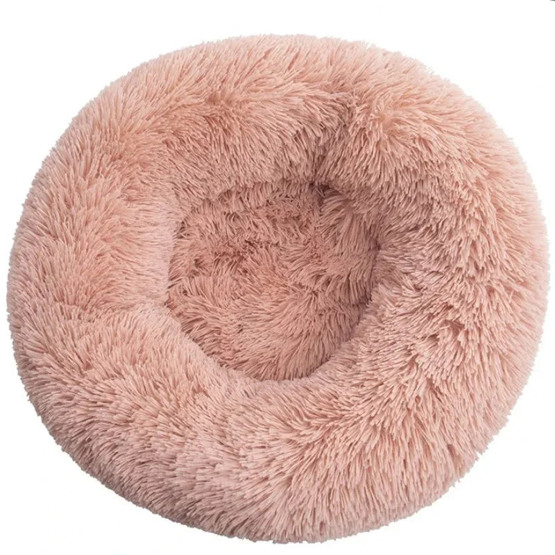 PawNest™